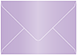 Violet 4 Bar Envelope 3 5/8 x 5 1/8 - 50/Pk