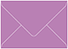 Plum Punch 4 Bar Envelope 3 5/8 x 5 1/8 - 50/Pk