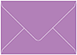 Grape Jelly 4 Bar Envelope 3 5/8 x 5 1/8 - 50/Pk