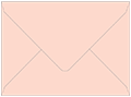 Ginger Outer #7 Envelope 5 1/2 x 7 1/2 - 50/Pk