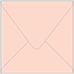 Ginger Square Envelope 2 3/4 x 2 3/4 - 50/Pk