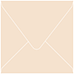 Latte Square Envelope 2 3/4 x 2 3/4 - 50/Pk