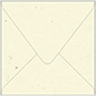 Milkweed Square Envelope 4 1/4 x 4 1/4 - 50/Pk