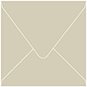 Desert Storm Square Envelope 4 1/4 x 4 1/4 - 50/Pk