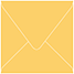 Bumble Bee Square Envelope 4 1/4 x 4 1/4 - 25/Pk