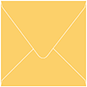 Colorplan Citrine (Bumble Bee) Square Envelope 4 1/4 X 4 1/4  - 91 lb . - 50/Pk