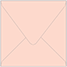 Ginger Square Envelope 4 1/4 x 4 1/4 - 25/Pk