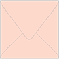 Ginger Square Envelope 4 1/4 x 4 1/4 - 50/Pk