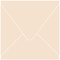 Colorplan Stone (Latte) Square Envelope 4 1/4 X 4 1/4  - 91 lb . - 50/Pk