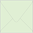 Green Tea Square Envelope 4 1/4 x 4 1/4 - 25/Pk