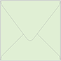 Colorplan Park Green (Green Tea) Square Envelope 4 1/4 X 4 1/4  - 91 lb . - 50/Pk