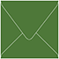 Verde Square Envelope 4 1/4 x 4 1/4 - 25/Pk