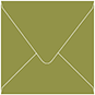 Olive Square Envelope 4 1/4 x 4 1/4 - 50/Pk