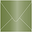 Metallic Botanic Square Envelope 4 1/4 x 4 1/4 - 50/Pk