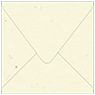 Milkweed Square Envelope 5 x 5 - 50/Pk