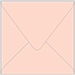 Ginger Square Envelope 5 x 5 - 25/Pk