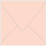 Ginger Square Envelope 5 x 5 - 50/Pk