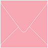 Coral Square Envelope 5 x 5 - 50/Pk