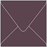 Eggplant Square Envelope 5 x 5 - 50/Pk