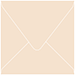 Latte Square Envelope 5 x 5 - 25/Pk