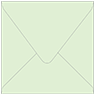 Green Tea Square Envelope 5 x 5 - 50/Pk