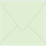 Colorplan Park Green (Green Tea) Square Envelope 5 X 5  - 91 lb . - 50/Pk