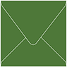Colorplan Lockwood Green (Verde) Square Envelope 5 X 5  - 91 lb . - 50/Pk