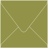 Olive Square Envelope 5 x 5 - 50/Pk