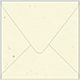 Milkweed Square Envelope 5 1/2 x 5 1/2 - 25/Pk