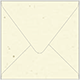 Milkweed Square Envelope 5 1/2 x 5 1/2 - 50/Pk