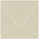 Desert Storm Square Envelope 5 1/2 x 5 1/2 - 50/Pk