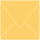 Bumble Bee Square Envelope 5 1/2 x 5 1/2 - 25/Pk