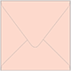 Ginger Square Envelope 5 1/2 x 5 1/2 - 50/Pk