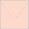Ginger Square Envelope 5 1/2 x 5 1/2 - 50/Pk