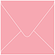 Coral Square Envelope 5 1/2 x 5 1/2 - 50/Pk