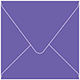 Amethyst Square Envelope 5 1/2 x 5 1/2 - 25/Pk