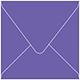 Amethyst Square Envelope 5 1/2 x 5 1/2 - 50/Pk