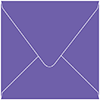 Colorplan Purple (Amethyst) Square Envelope 5 1/2 X 5 1/2  - 91 lb . - 50/Pk