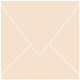 Latte Square Envelope 5 1/2 x 5 1/2 - 25/Pk