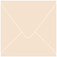 Latte Square Envelope 5 1/2 x 5 1/2 - 50/Pk