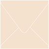 Colorplan Stone (Latte) Square Envelope 5 1/2 X 5 1/2  - 91 lb . - 50/Pk