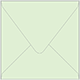 Green Tea Square Envelope 5 1/2 x 5 1/2 - 25/Pk