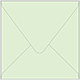 Green Tea Square Envelope 5 1/2 x 5 1/2 - 50/Pk