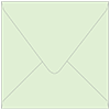 Colorplan Park Green (Green Tea) Square Envelope 5 1/2 X 5 1/2  - 91 lb . - 50/Pk