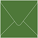 Verde Square Envelope 5 1/2 x 5 1/2 - 50/Pk