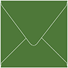 Colorplan Lockwood Green (Verde) Square Envelope 5 1/2 X 5 1/2  - 91 lb . - 50/Pk