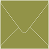 Olive Square Envelope 5 1/2 x 5 1/2 - 50/Pk
