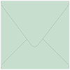 Tiffany Blue Square Envelope 5 1/2 x 5 1/2 - 50/Pk