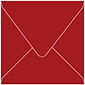 Red Pepper Square Envelope 6 x 6 - 50/Pk