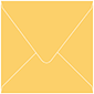 Bumble Bee Square Envelope 6 x 6 - 25/Pk